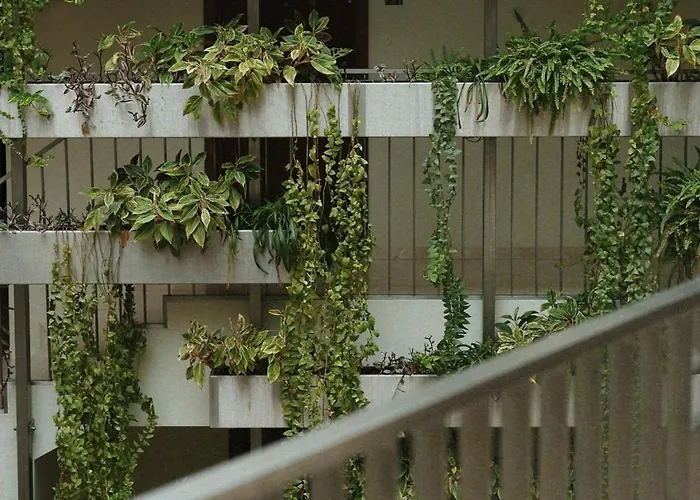 酒店 Mana & Sea 4*